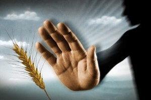 hands against wheat
