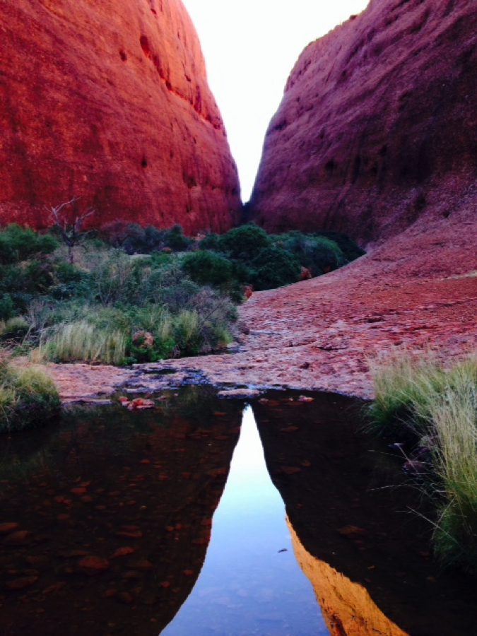 Canyon at Kata Tjuta