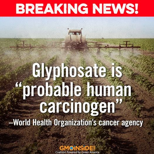glyphosate_breaking_news